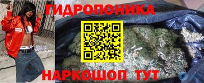 шишки Будённовск