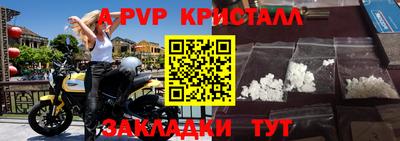 шишки Будённовск