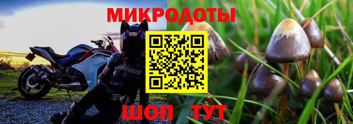 Псилоцибиновые грибы прущие грибы  Вход с VPN  Лысьва 